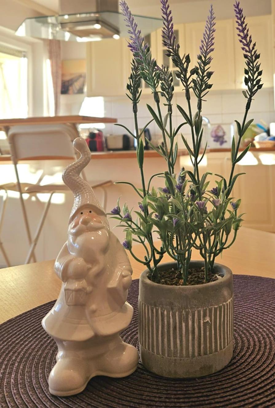 Ferienwohnung Sonnenfeld 弗赖拉辛 外观 照片