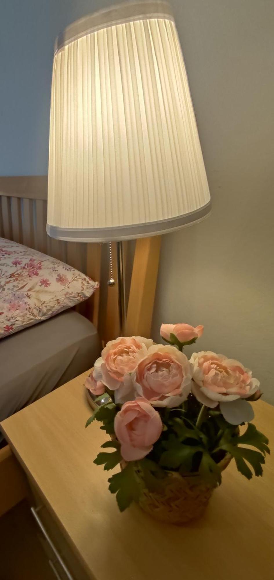 Ferienwohnung Sonnenfeld 弗赖拉辛 外观 照片